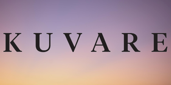Read more about the article Kuvare Holdings Exciting Appointmentment of Melanie Gatza as Director of Reinsurance Signals Growth